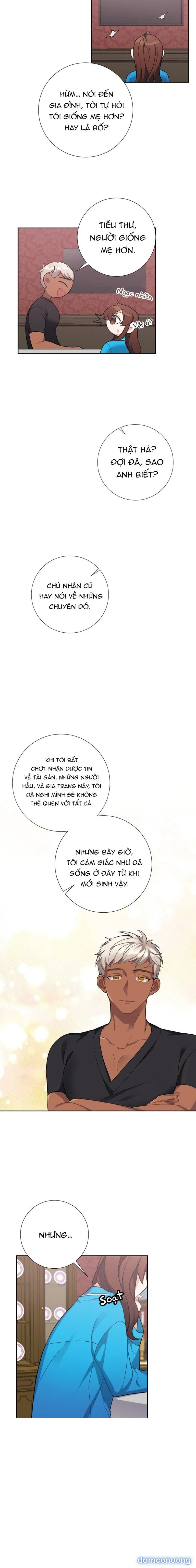 Tiểu Thư Và Những Người Hầu 