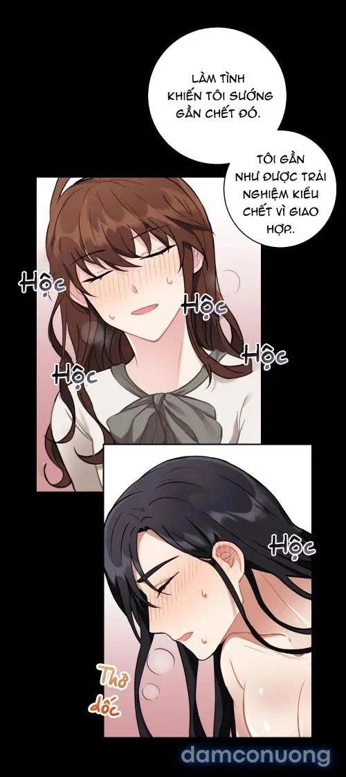 Tiểu Thư Và Những Người Hầu 