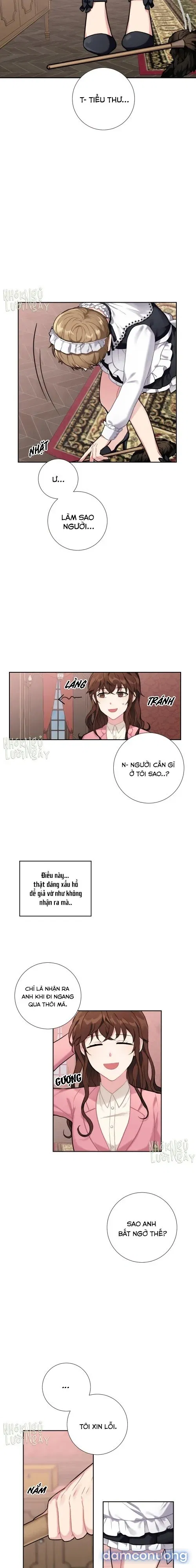 Tiểu Thư Và Những Người Hầu 