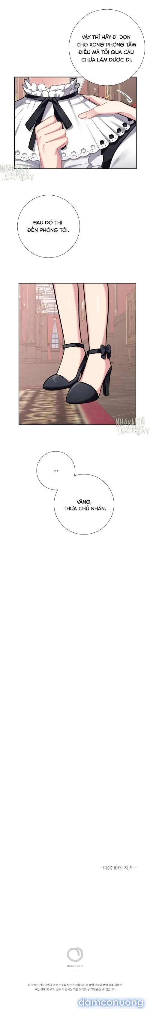 Tiểu Thư Và Những Người Hầu 