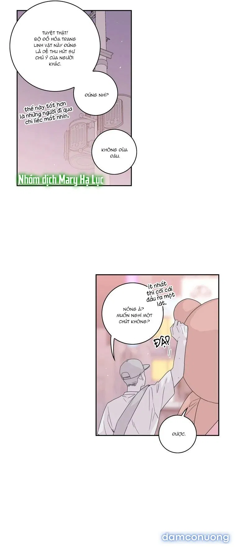 Toy Complex 