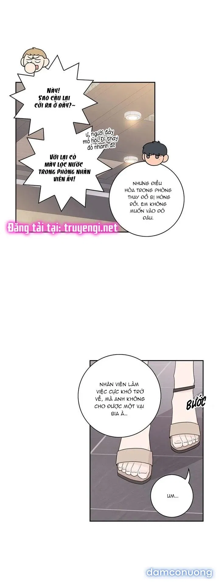 Toy Complex 
