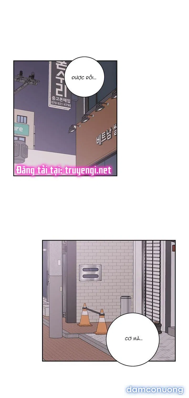 Toy Complex 