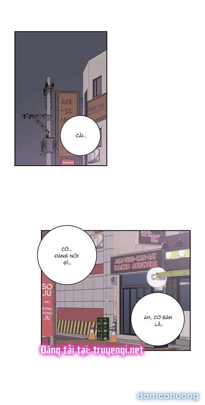 Toy Complex 