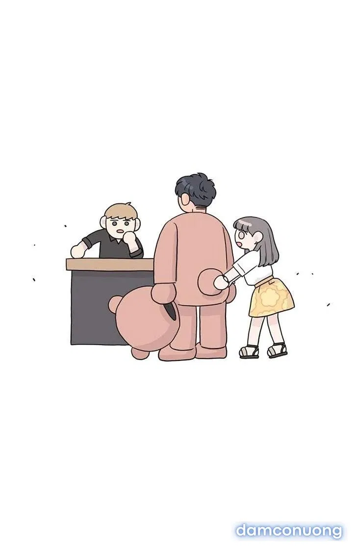 Toy Complex 