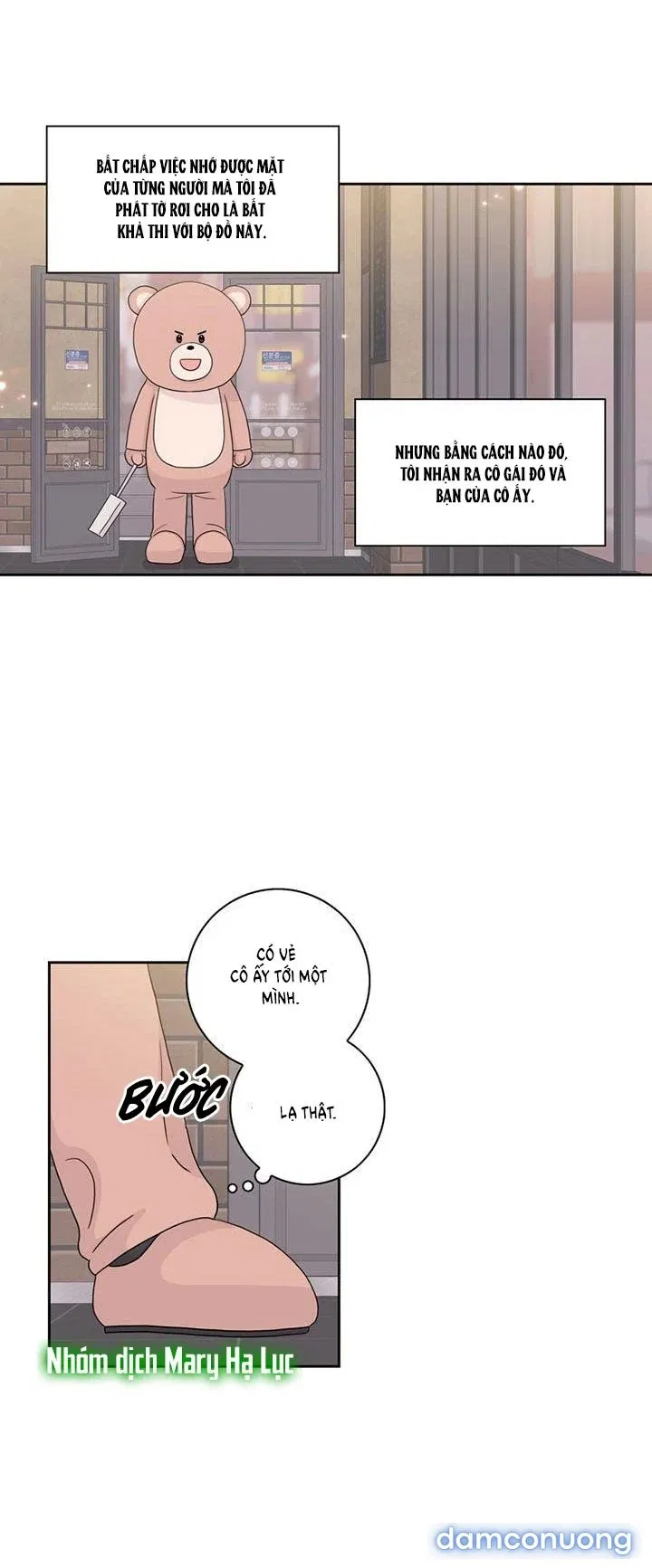Toy Complex 