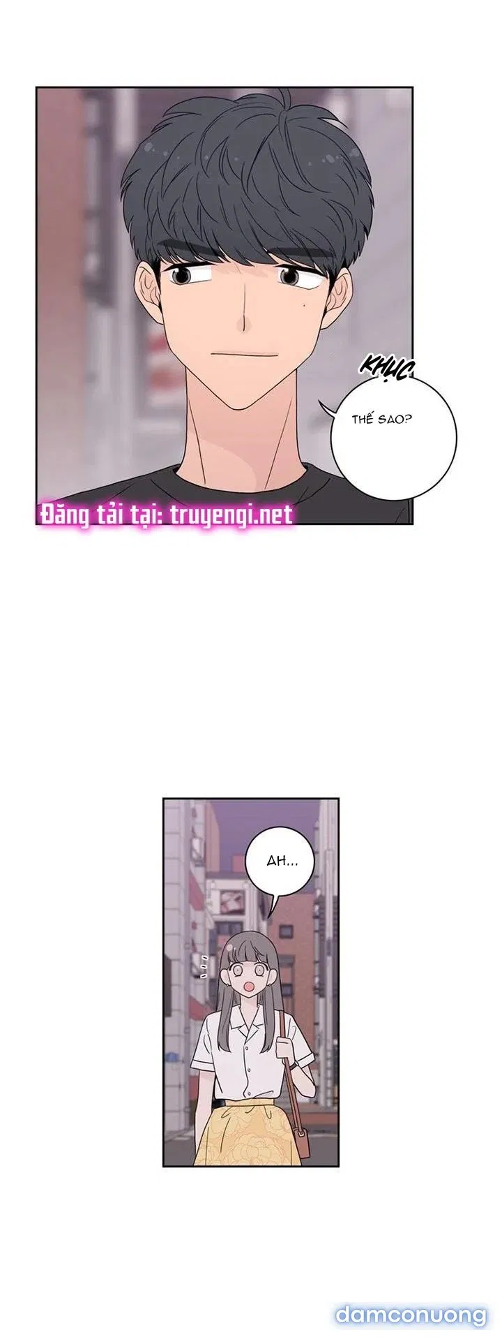 Toy Complex 