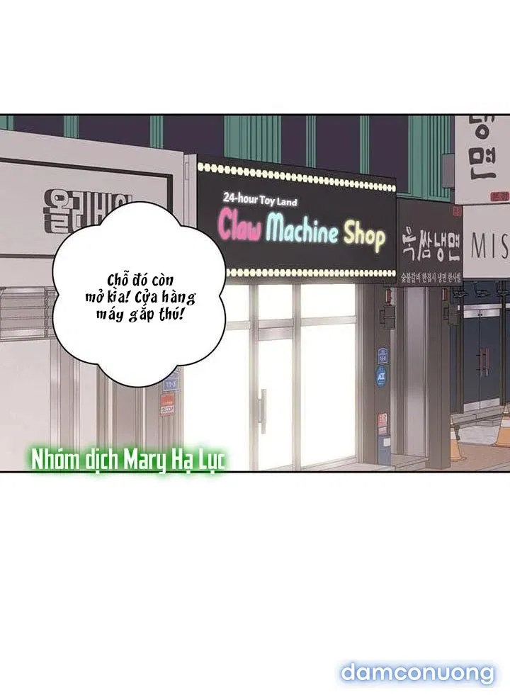 Toy Complex 