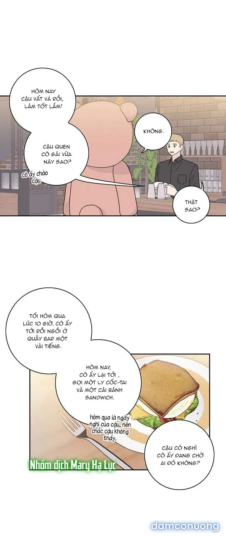 Toy Complex 
