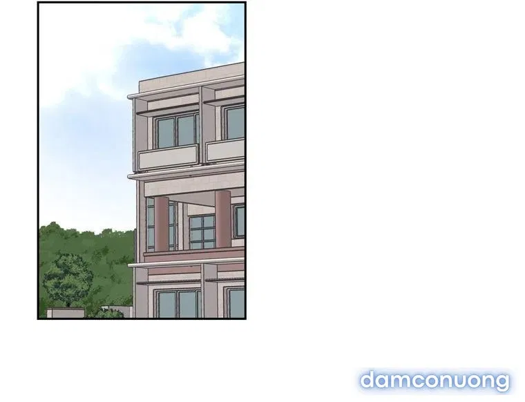 Toy Complex 