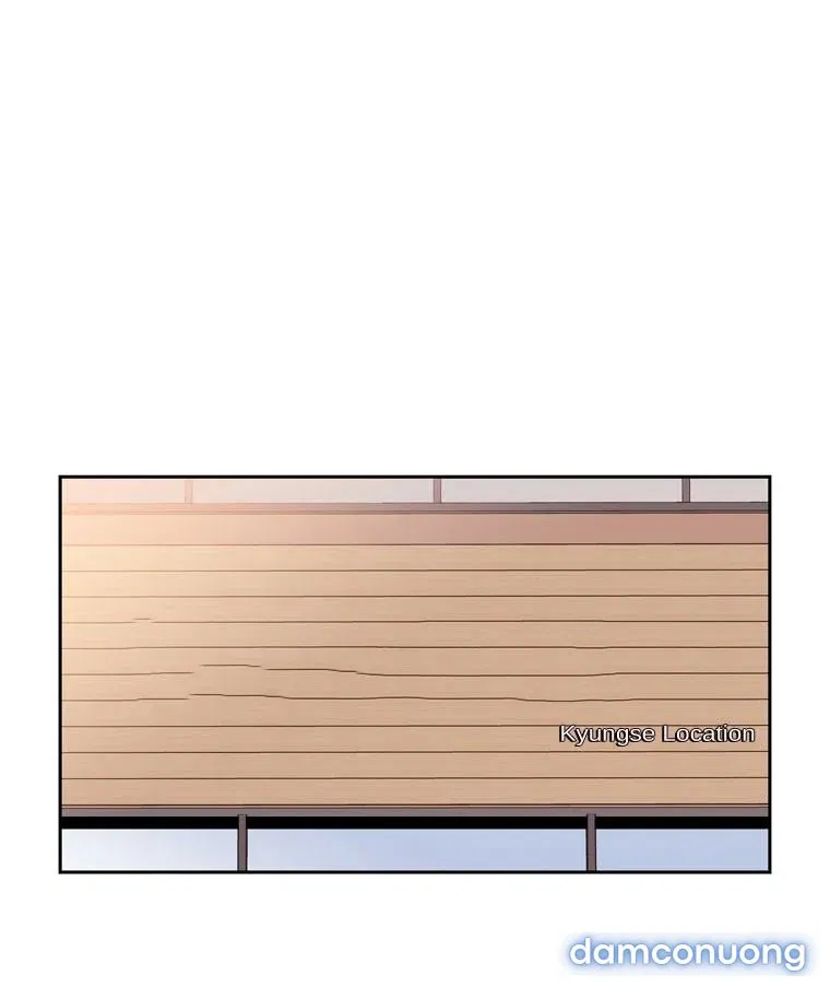 Toy Complex 