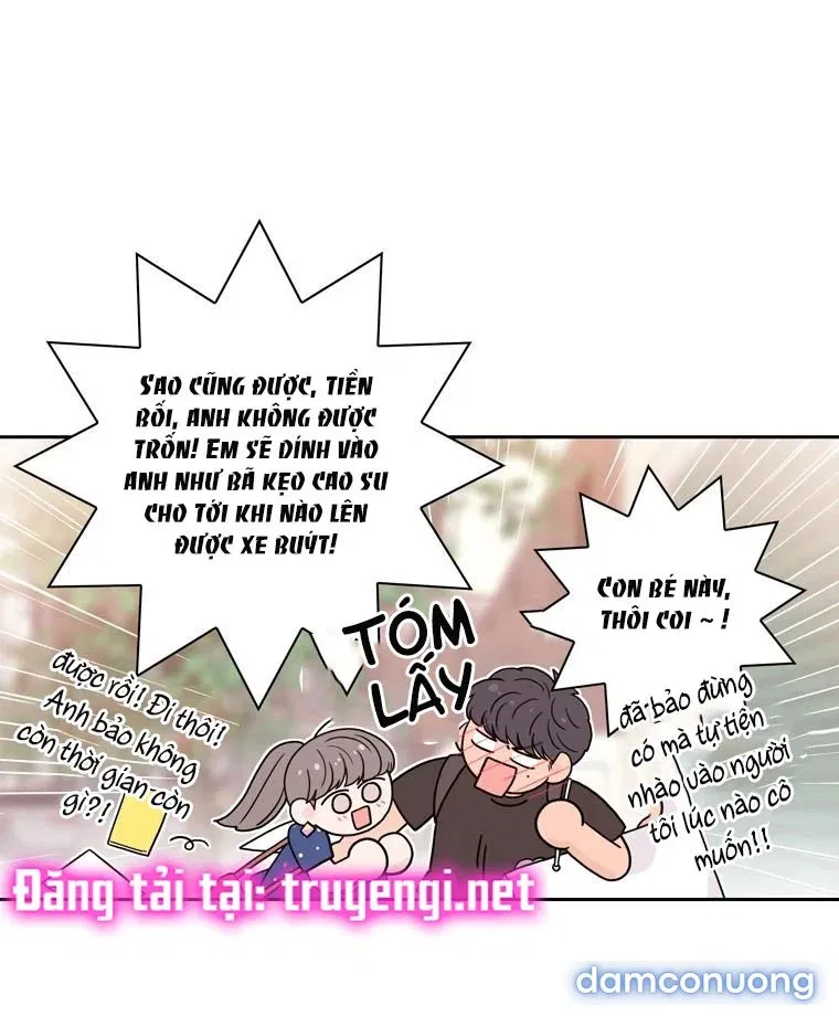 Toy Complex 