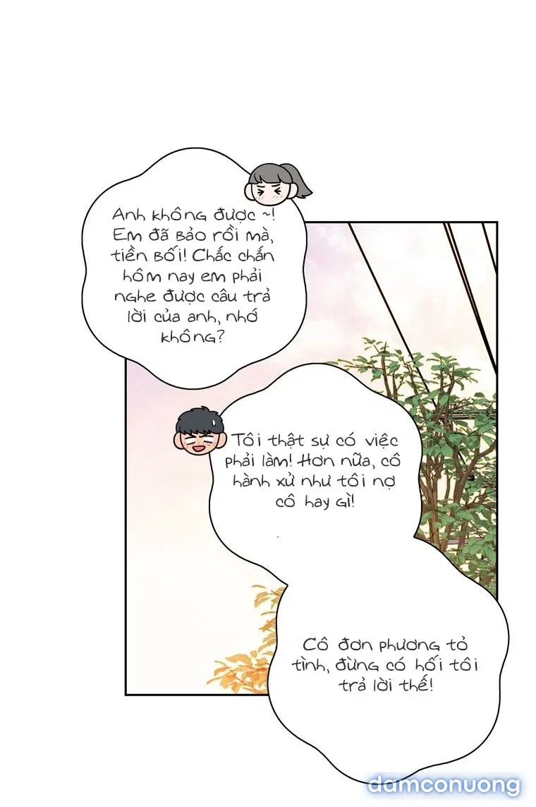 Toy Complex 
