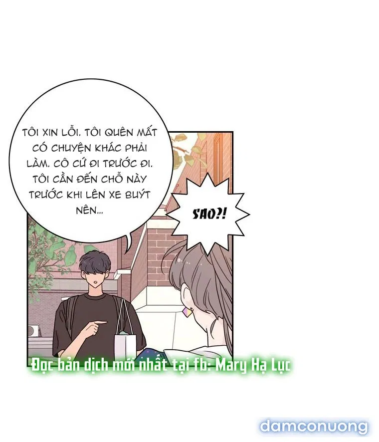 Toy Complex 