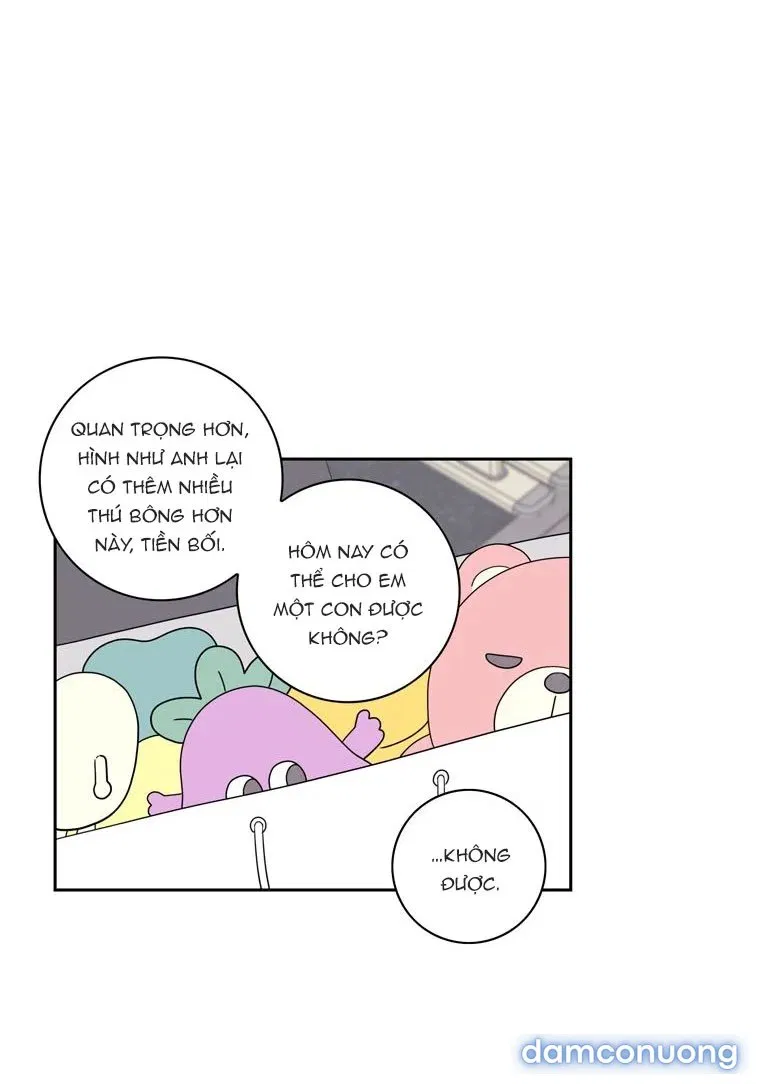 Toy Complex 