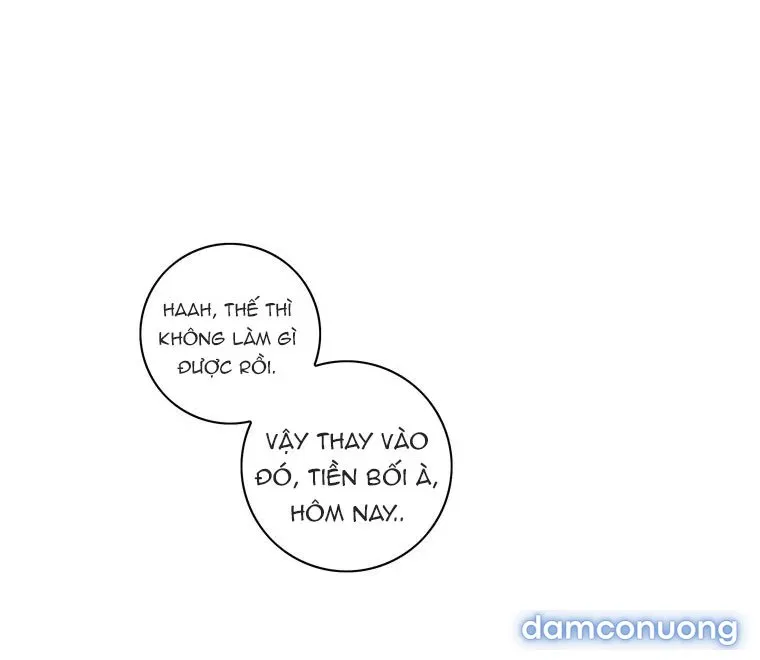 Toy Complex 