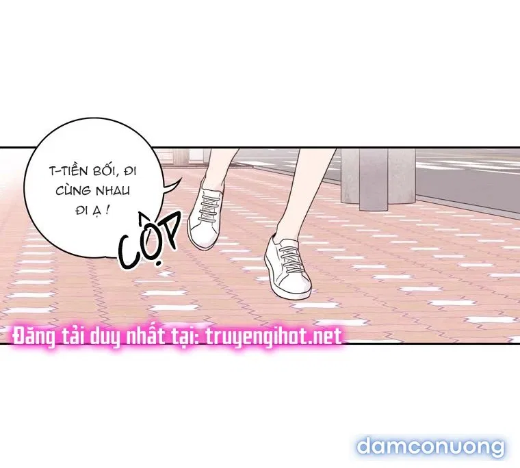 Toy Complex 