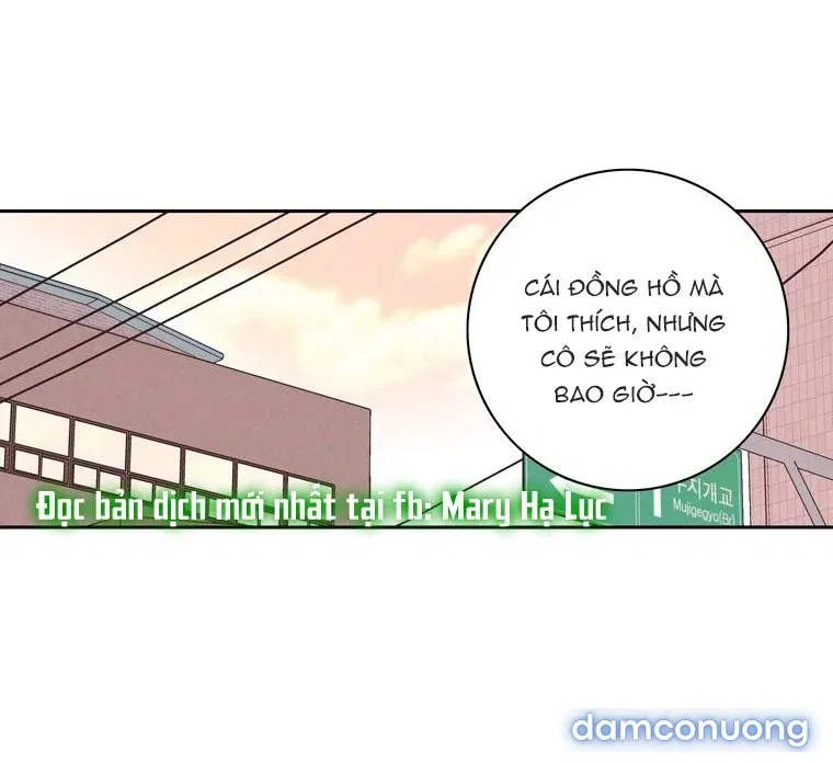 Toy Complex 