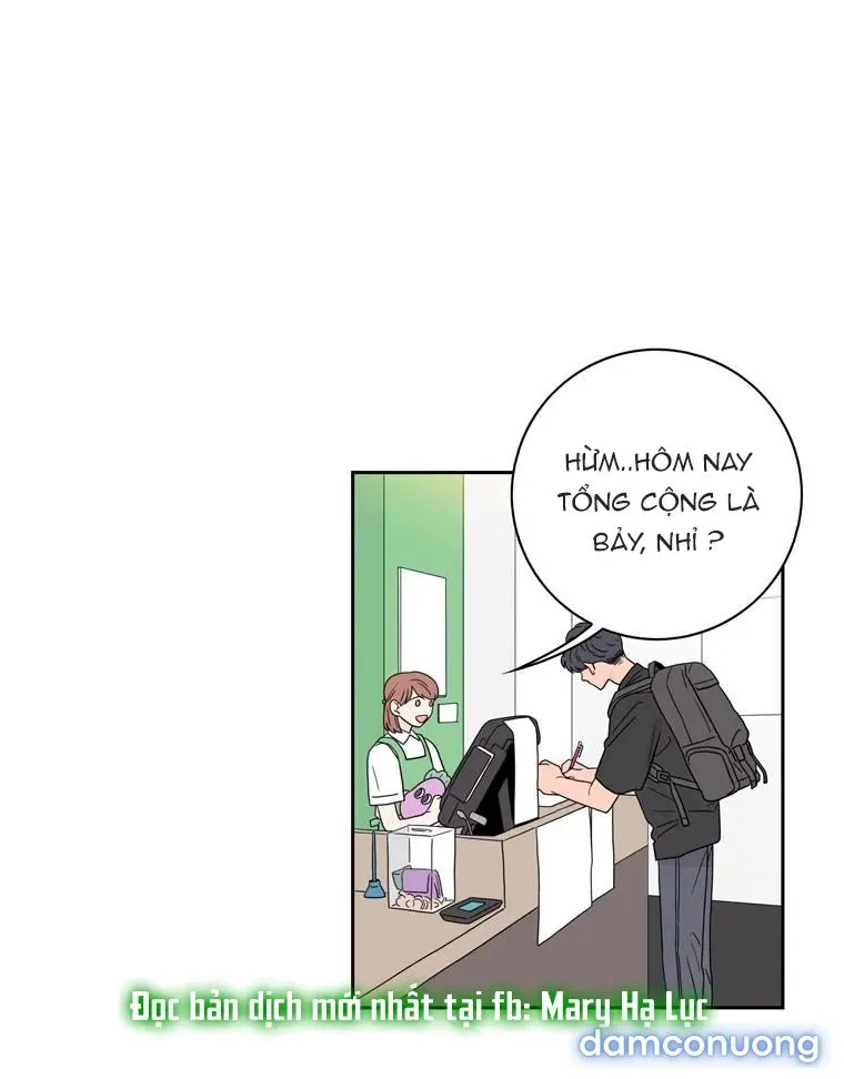 Toy Complex 