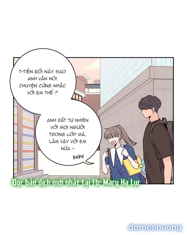 Toy Complex 