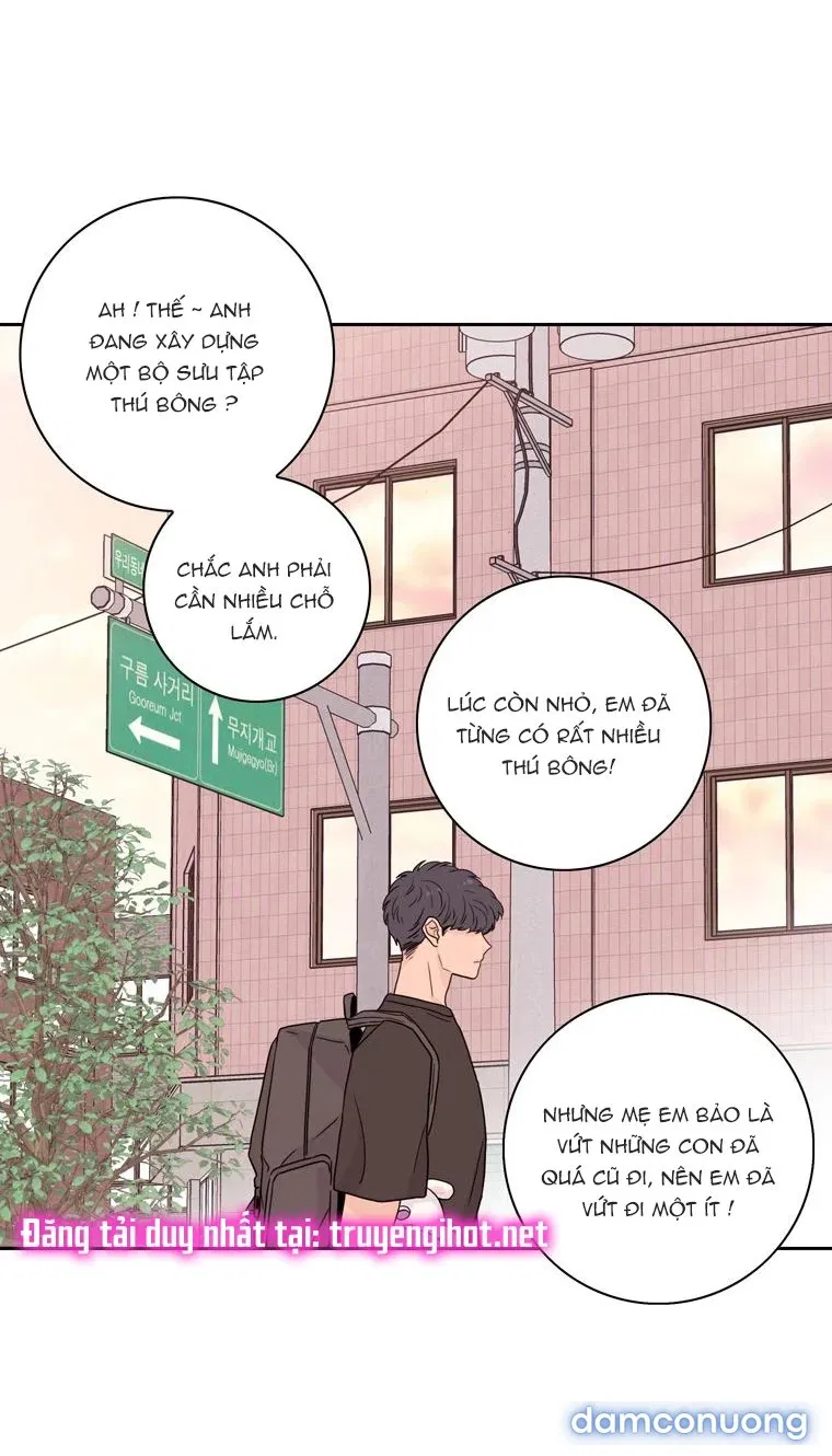 Toy Complex 