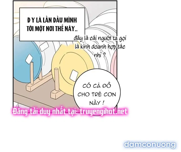 Toy Complex 