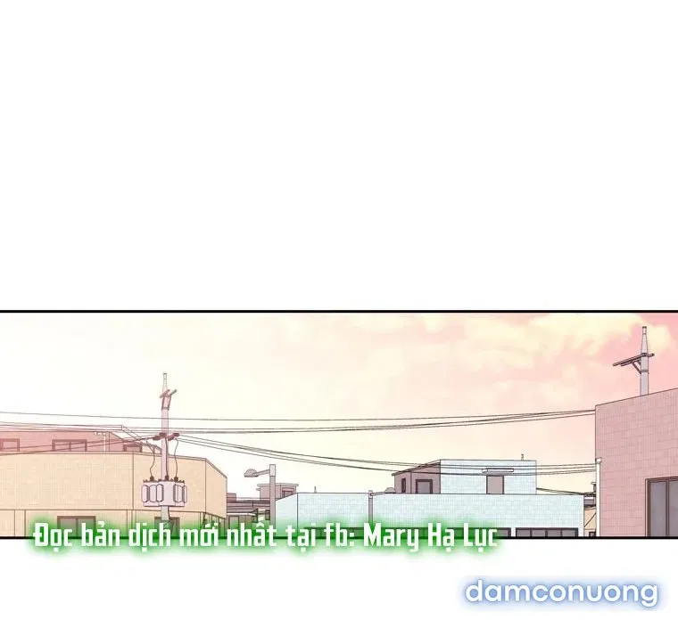 Toy Complex 