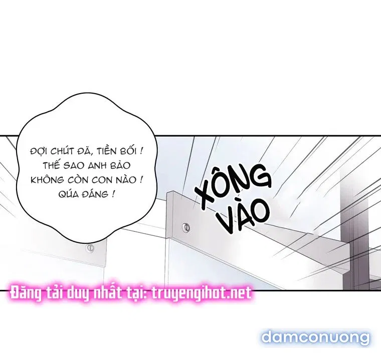 Toy Complex 