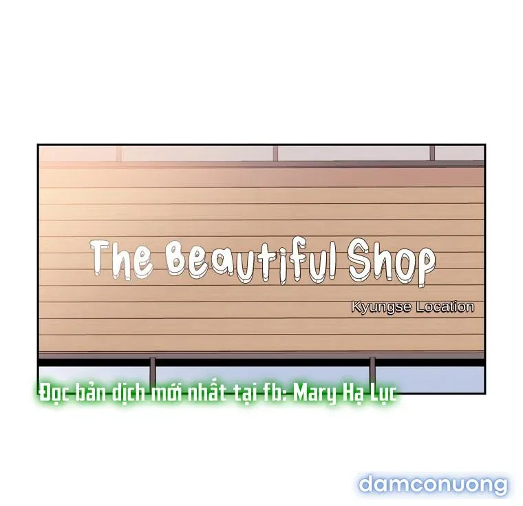 Toy Complex 