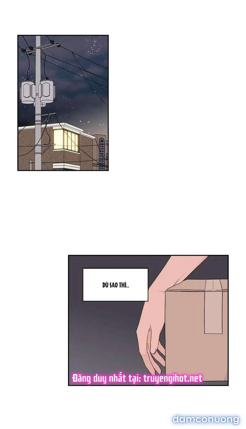Toy Complex 