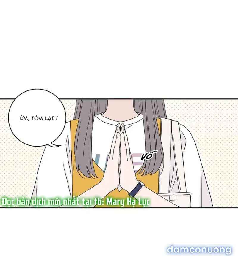 Toy Complex 