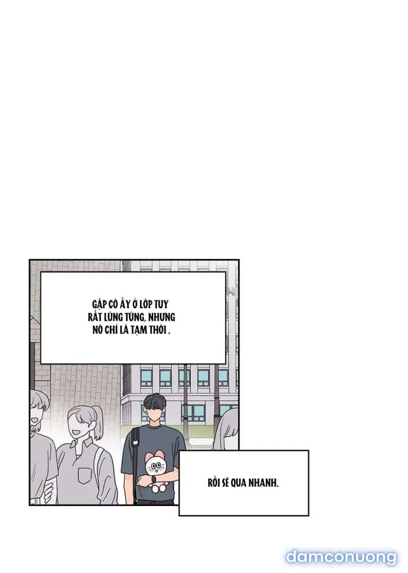 Toy Complex 