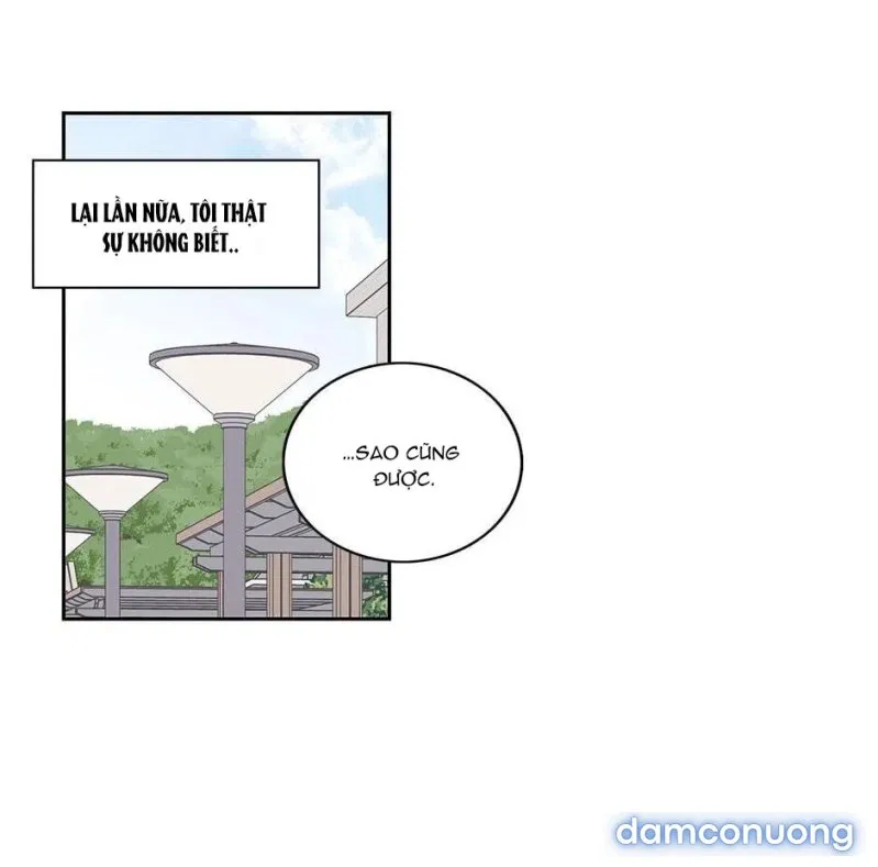 Toy Complex 