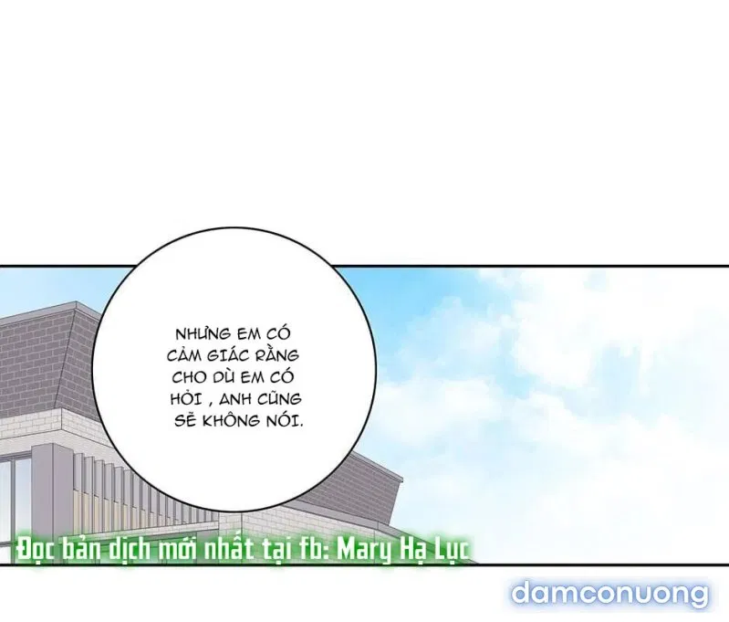 Toy Complex 