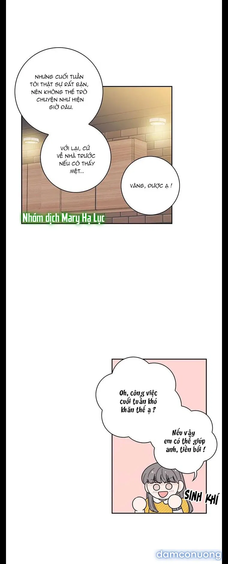 Toy Complex 
