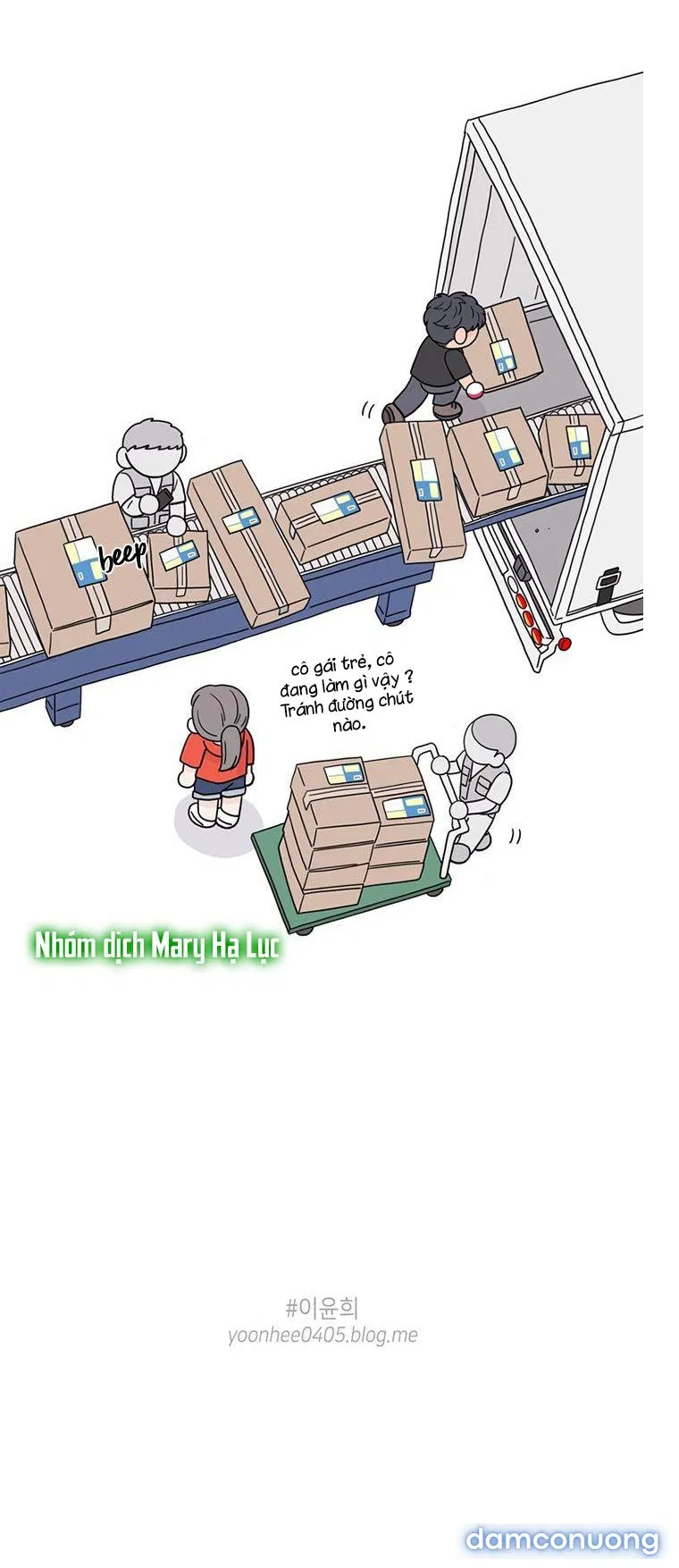Toy Complex 
