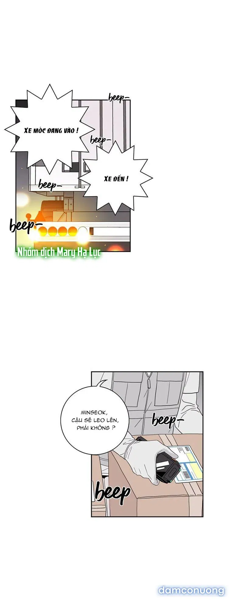 Toy Complex 
