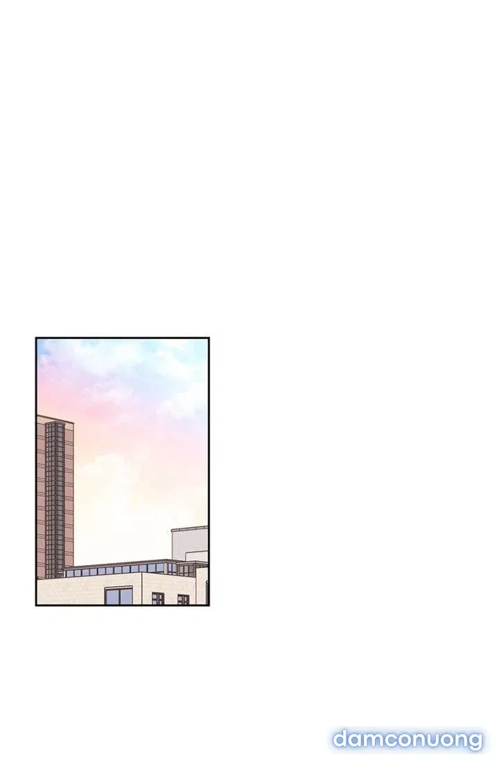 Toy Complex 