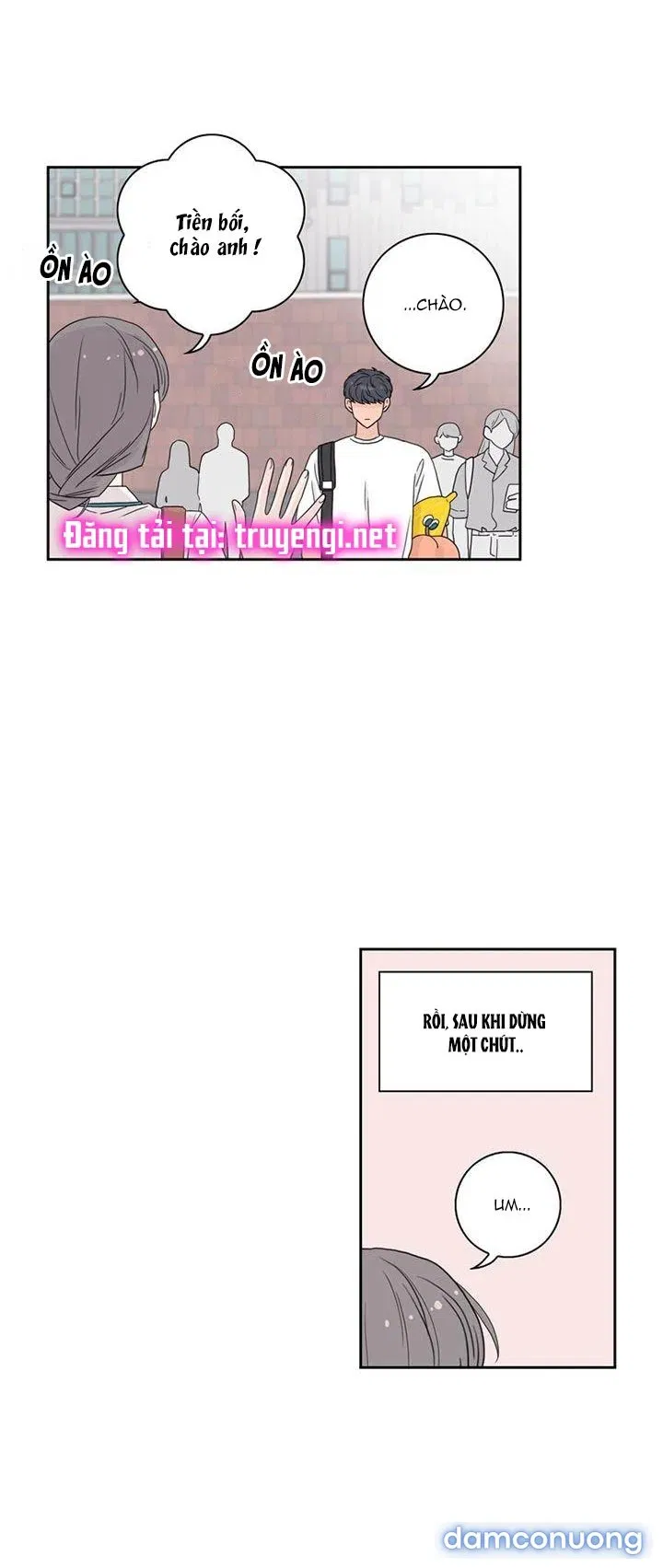 Toy Complex 