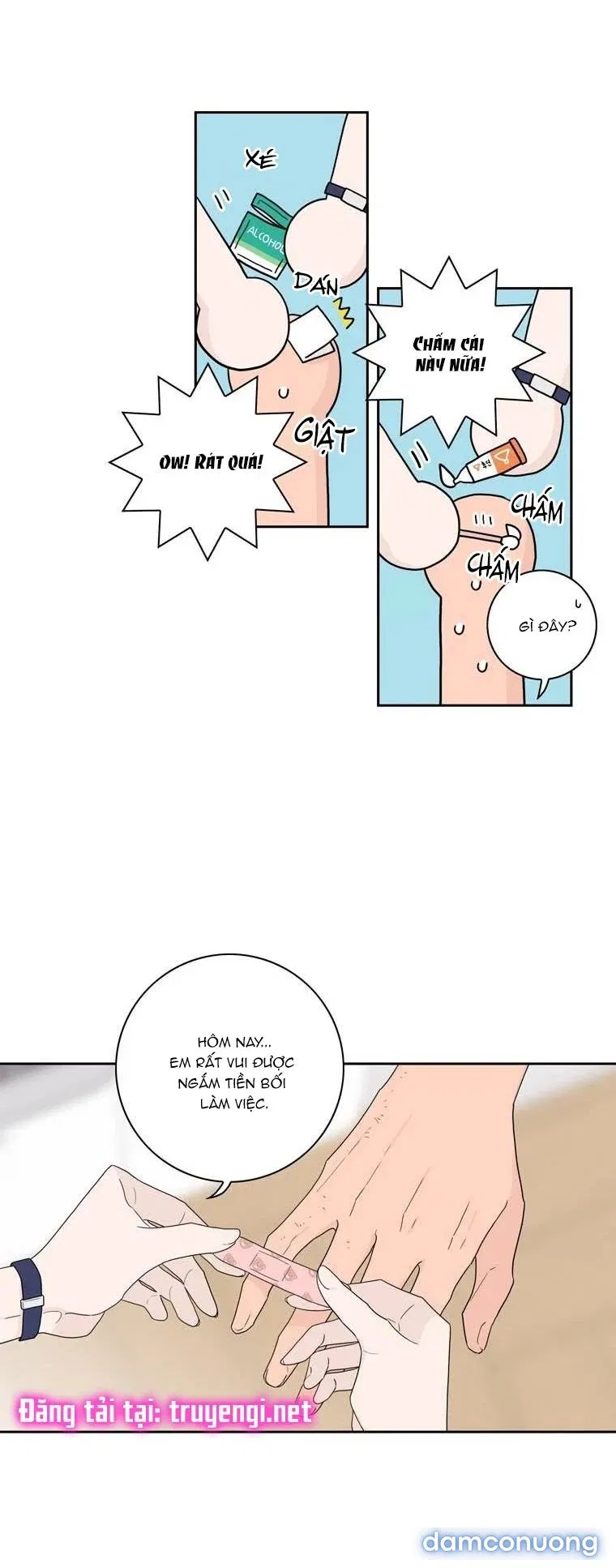 Toy Complex 