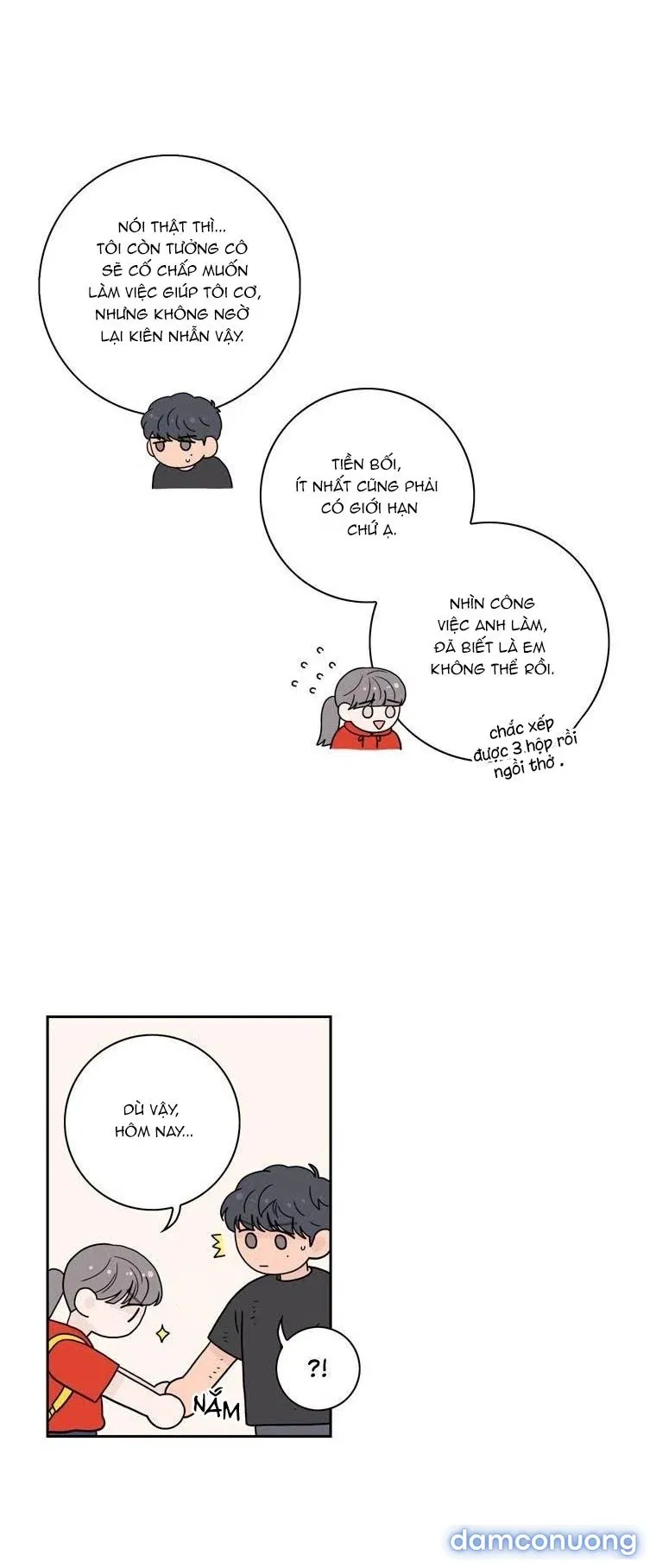 Toy Complex 