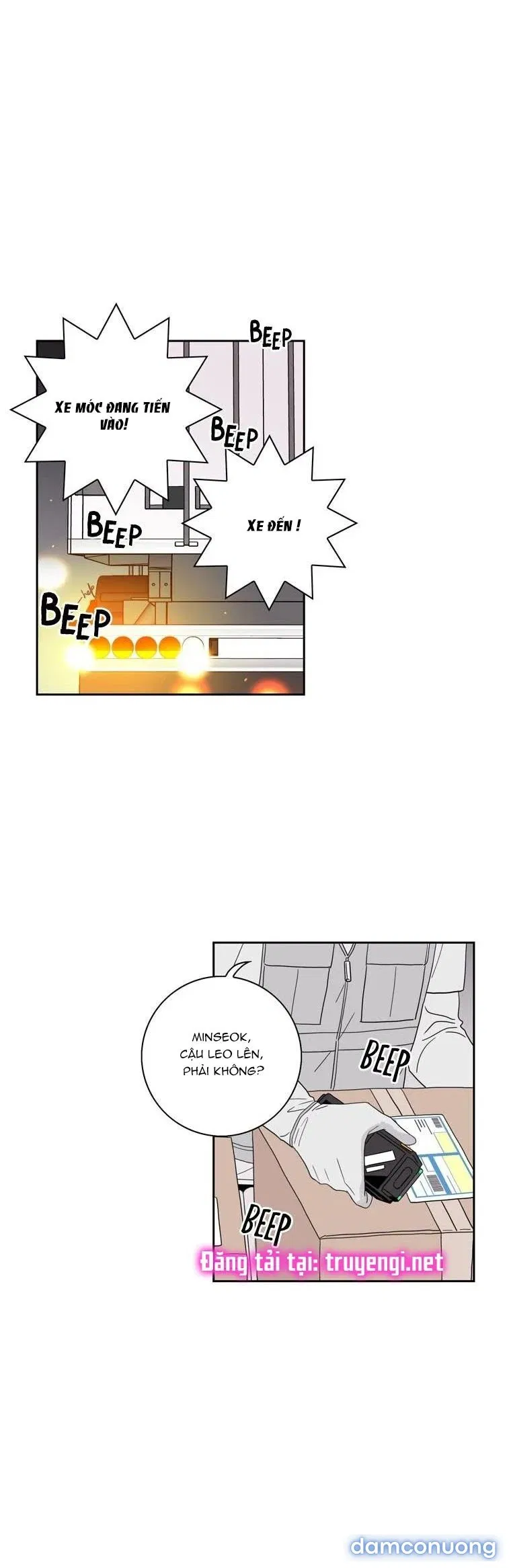 Toy Complex 