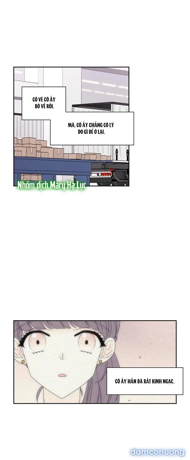 Toy Complex 