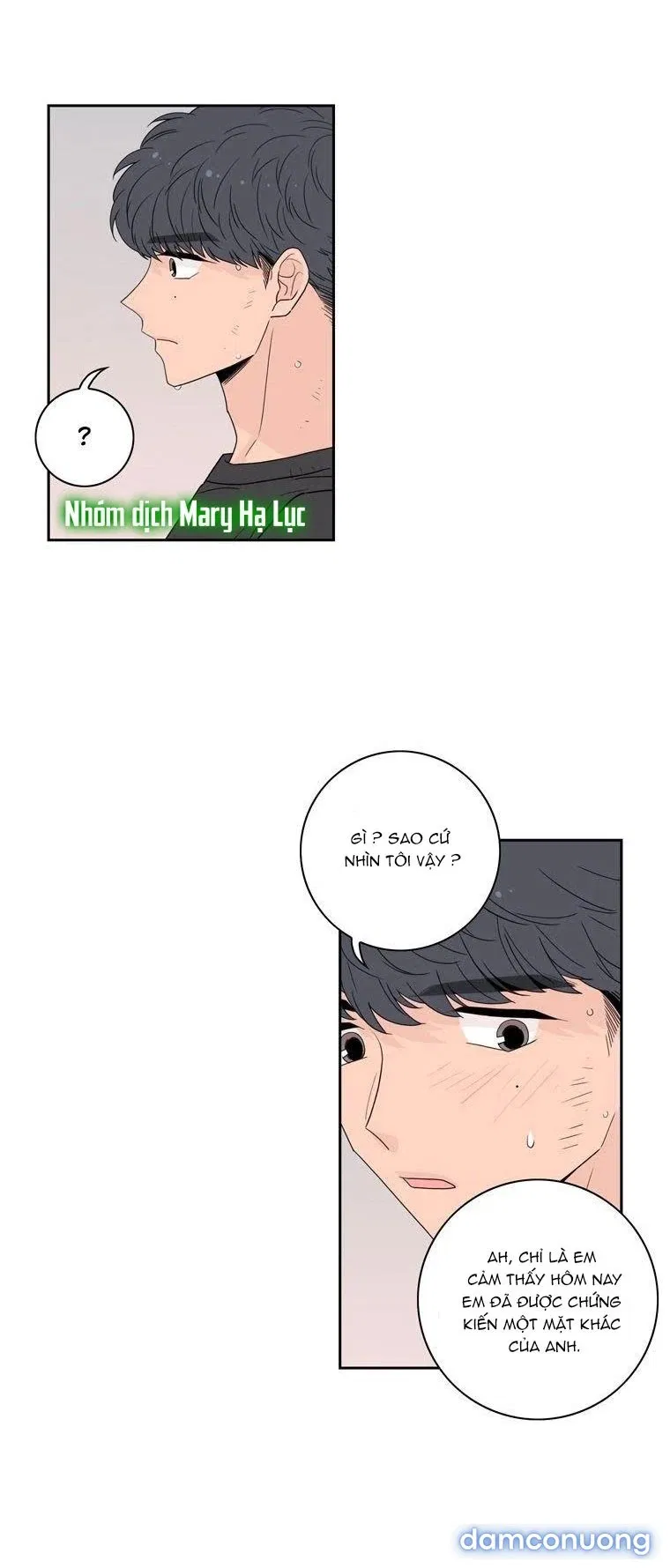 Toy Complex 
