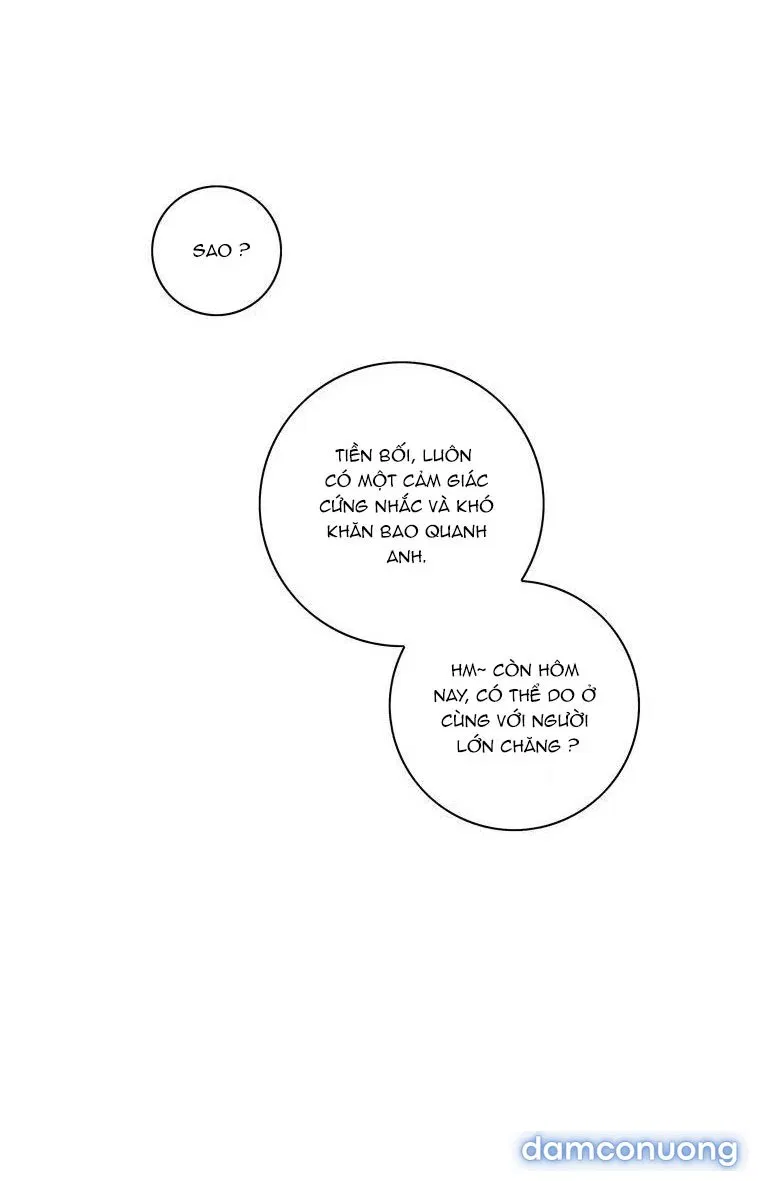 Toy Complex 