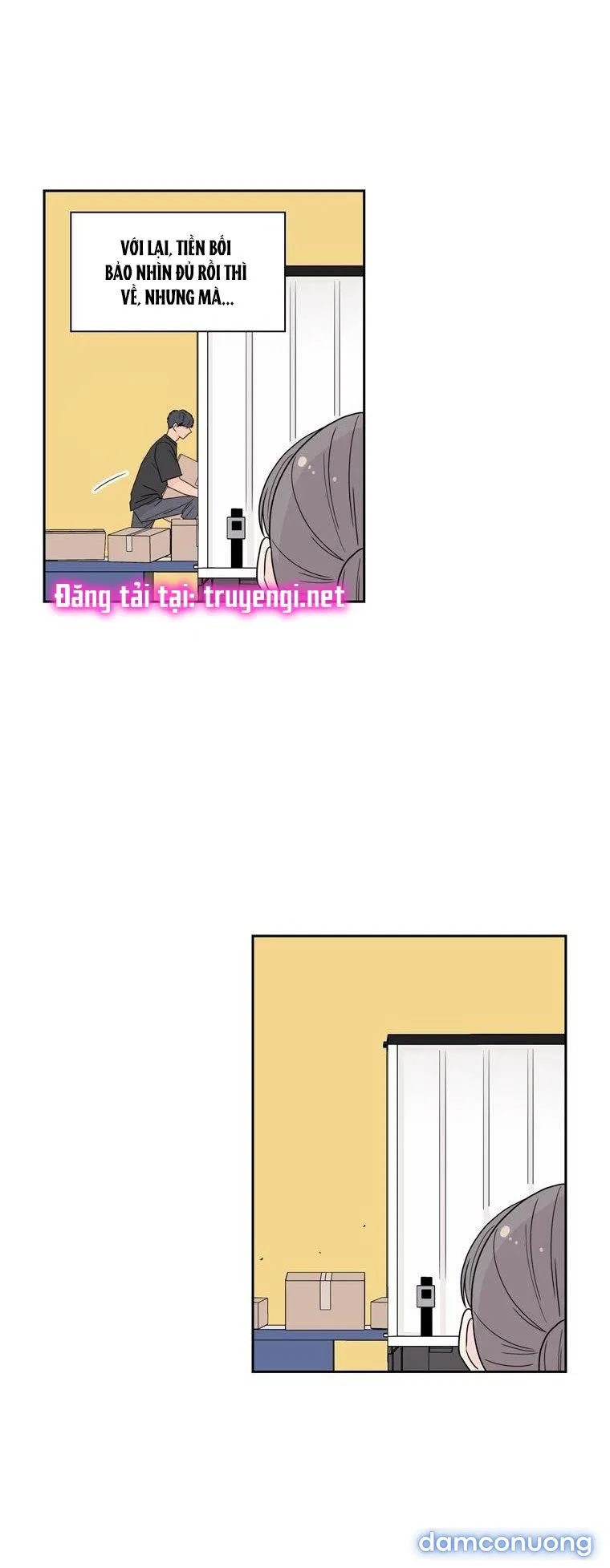 Toy Complex 