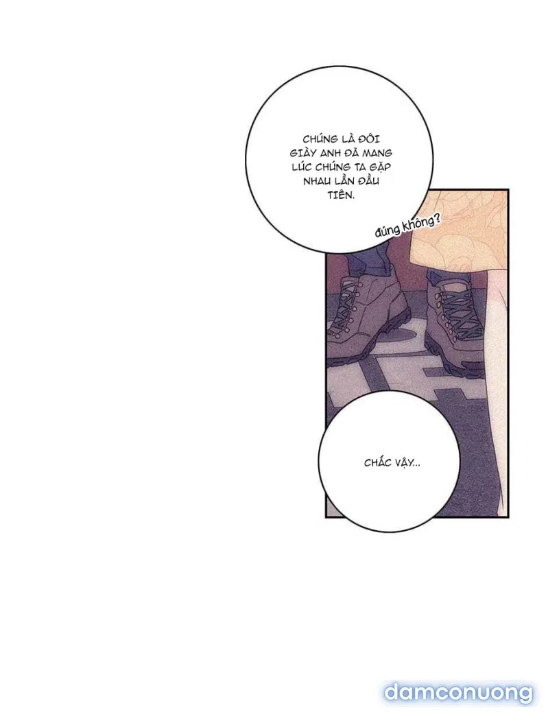Toy Complex 