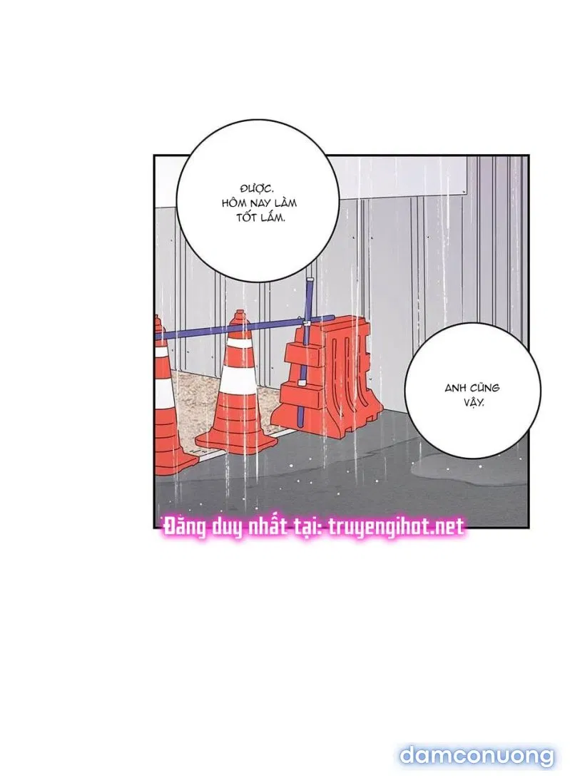 Toy Complex 