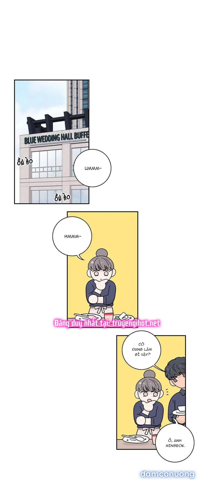 Toy Complex 
