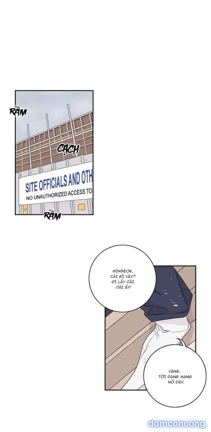 Toy Complex 